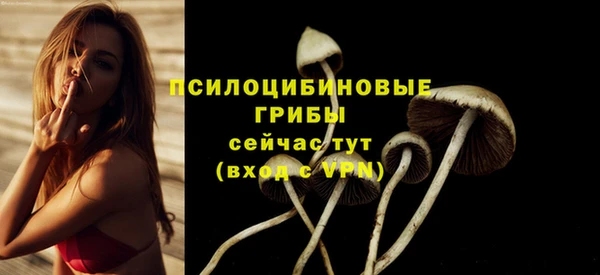 дурь Аркадак