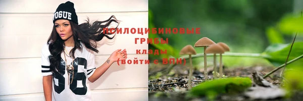 бошки Алексеевка