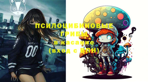 гашик Алзамай