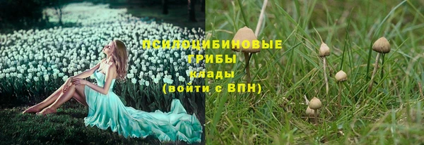 гашик Алзамай