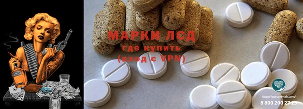 гашик Алзамай